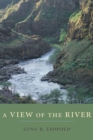 Image for A view of the river