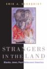 Image for Strangers in the land  : Blacks, Jews, post-Holocaust America