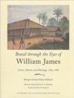 Image for Brazil through the eyes of William James  : diaries, letters, and drawings, 1865-1866