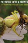 Image for Predator upon a flower  : life history and fitness in a crab spider