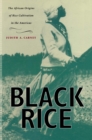 Image for Black rice: the African origins of rice cultivation in the Americas
