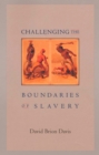 Image for Challenging the boundaries of slavery