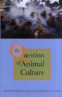 Image for The question of animal culture