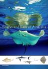 Image for Sharks and rays of Australia
