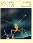 Image for The Ants