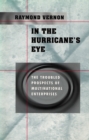 Image for In the hurricane&#39;s eye: the troubled prospects of multinational enterprises