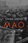 Image for China under Mao  : a revolution derailed