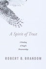 Image for Spirit of Trust: A Reading of Hegel&#39;s Phenomenology
