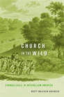 Image for Church in the Wild: Evangelicals in Antebellum America