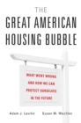 Image for The great American housing bubble: what went wrong and how we can protect ourselves in the future