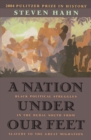 Image for A nation under our feet: black political struggles in the rural South from slavery to the great migration