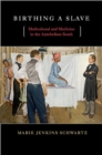 Image for Birthing a Slave: Motherhood and Medicine in the Antebellum South