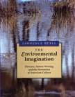 Image for The environmental imagination: Thoreau, nature writing, and the formation of American culture
