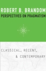 Image for Perspectives on pragmatism: classical, recent, and contemporary