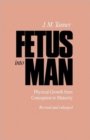 Image for Fetus into Man