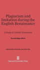 Image for Plagiarism and Imitation During the English Renaissance