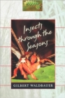 Image for Insects through the Seasons