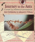 Image for Journey to the Ants : A Story of Scientific Exploration