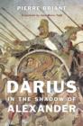 Image for Darius in the shadow of Alexander