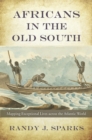 Image for Africans in the Old South  : mapping exceptional lives across the Atlantic world