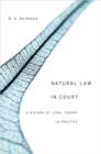 Image for Natural law in court: a history of legal theory in practice