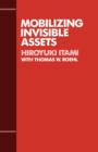 Image for Mobilizing Invisible Assets