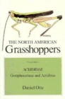 Image for The North American Grasshoppers
