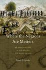 Image for Where the Negroes Are Masters