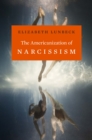 Image for The Americanization of narcissism