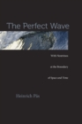 Image for Perfect Wave
