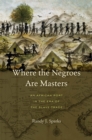 Image for Where the Negroes are masters: an African port in the era of the slave trade