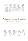 Image for Apes and human evolution