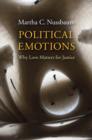 Image for Political emotions: why love matters for justice