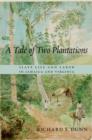 Image for A tale of two plantations: slave life and labor in Jamaica and Virginia