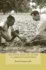 Image for Thinking small: the United States and the lure of community development