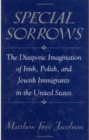 Image for Special Sorrows : The Diasporic Imagination of Irish, Polish, and Jewish Immigrants in the United States