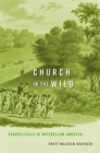 Image for Church in the Wild : Evangelicals in Antebellum America