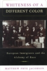 Image for Whiteness of a different color  : European immigrants and the alchemy of race