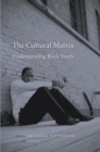 Image for The cultural matrix: understanding Black youth