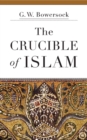 Image for The crucible of Islam