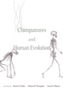 Image for Chimpanzees and Human Evolution
