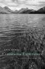 Image for Conscious Experience : A Logical Inquiry