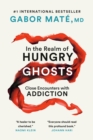 Image for In the realm of hungry ghosts  : close encounters with addiction