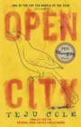 Image for Open city: a novel
