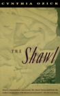 Image for The Shawl
