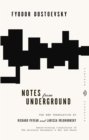 Image for Notes from Underground