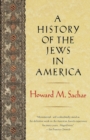 Image for A History of the Jews in America