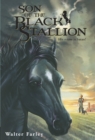 Image for Son of the Black Stallion