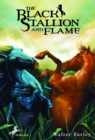 Image for The Black Stallion and Flame