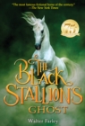 Image for The Black Stallion&#39;s Ghost